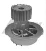 CHEVR 96182871 Water Pump